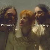 this-is-why-vinyl