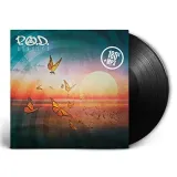 circles-vinyl