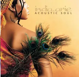 acoustic-soul-vinyl