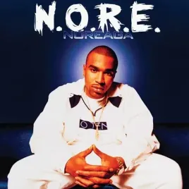 n-o-r-e-vinyl