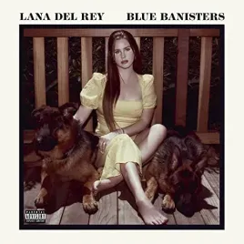 blue-banisters-double-vinyl