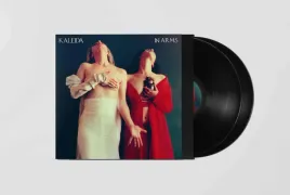 in-arms-vinyl