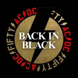 back-in-black-vinyl-nosnik-cd
