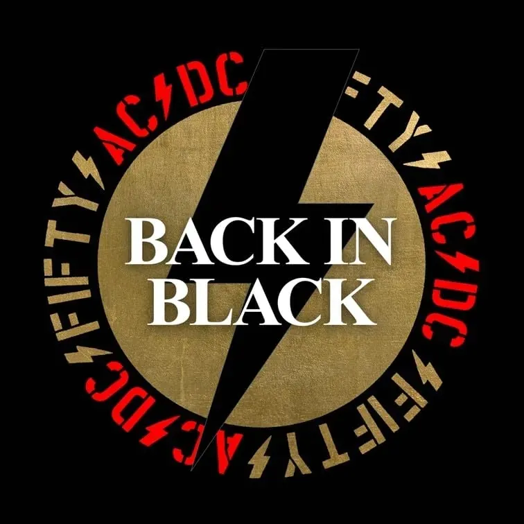 back-in-black-vinyl-rozmiar-s