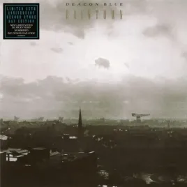 raintown-35th-anniversary-vinyl