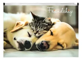 koperta-a4-pp-z-nadrukiem-zip-friendship