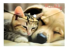 koperta-a5-pp-na-nape-z-nadrukiem-friendship