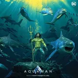 aquaman-vinyl