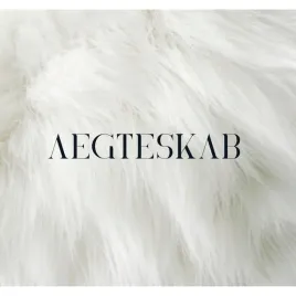 aegteskab-vinyl