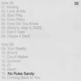 no-rules-sandy-vinyl