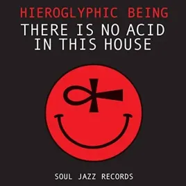 there-is-no-acid-in-this-house-vinyl