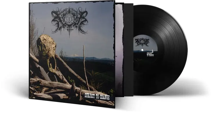 subject-to-change-vinyl