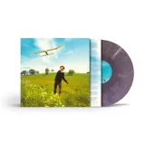 who-we-used-to-be-vinyl