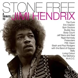 stone-free-jimi-hendrix-tribute-vinyl