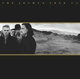 the-joshua-tree-vinyl