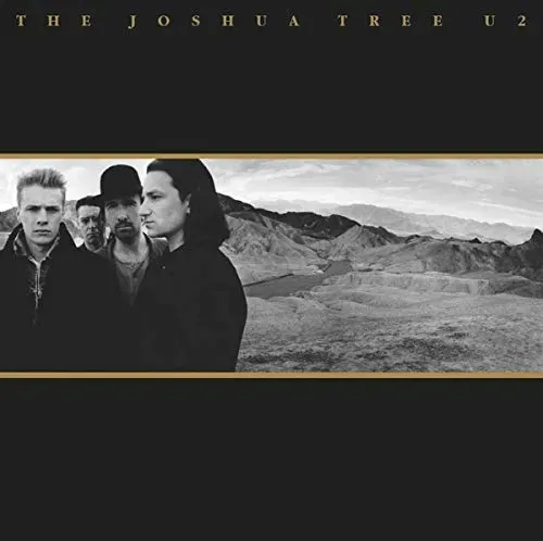 the-joshua-tree-vinyl-rozmiar-s
