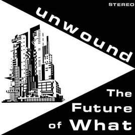 the-future-of-what-vinyl