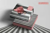 anime-parallele-cd-deluxe