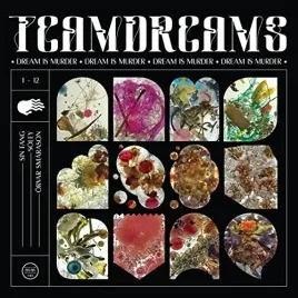 dream-is-murder-2lp-vinyl
