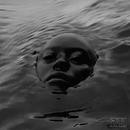 raven-vinyl