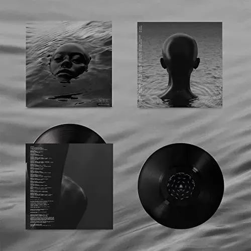 raven-vinyl