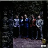 the-phosphorescent-blues-vinyl-rozmiar-s