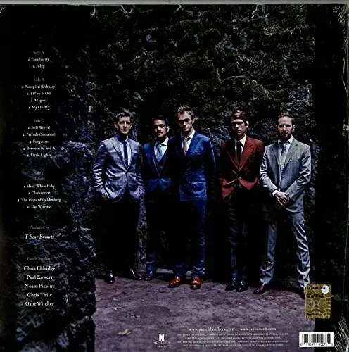 the-phosphorescent-blues-vinyl