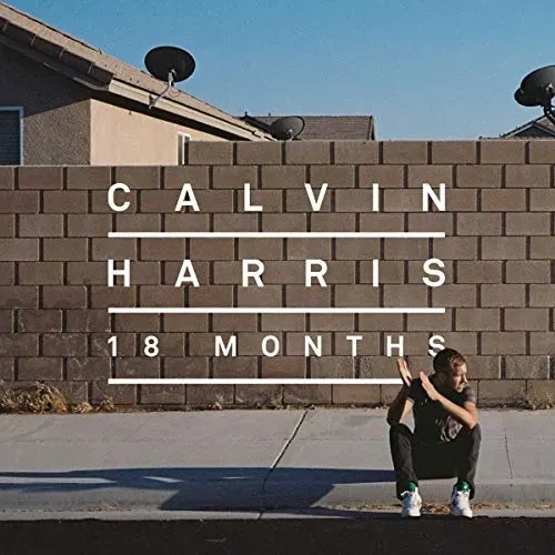 18-months-vinyl