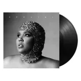 special-vinyl-rozmiar-s