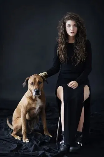 pure-heroine-nosnik-cd