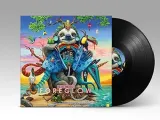 foreglow-vinyl-rozmiar-s