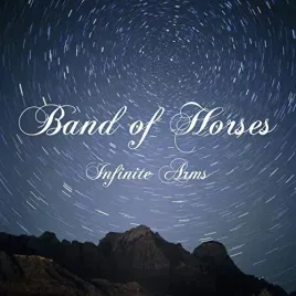 infinite-arms-vinyl