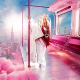 pink-friday-2-vinyl-rozmiar-s