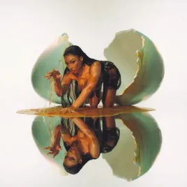 megan-vinyl