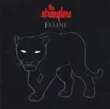 feline