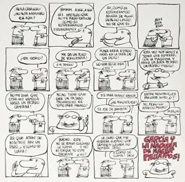 la-maquina-de-hacer-pajaros-vinyl