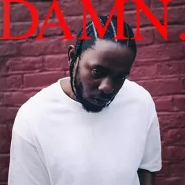 damn-vinyl