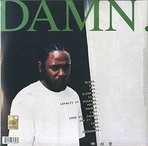 damn-vinyl-nosnik-cd