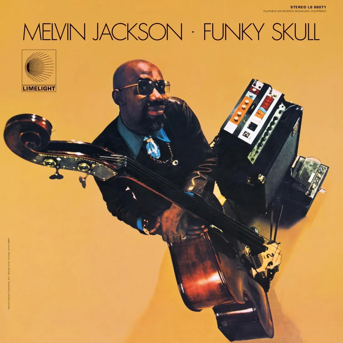 funky-skull-vinyl