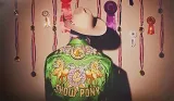 show-pony-vinyl-nosnik-cd