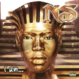 i-am-vinyl