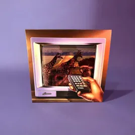 skinemaxxx-vinyl