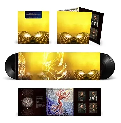fear-inoculum-vinyl