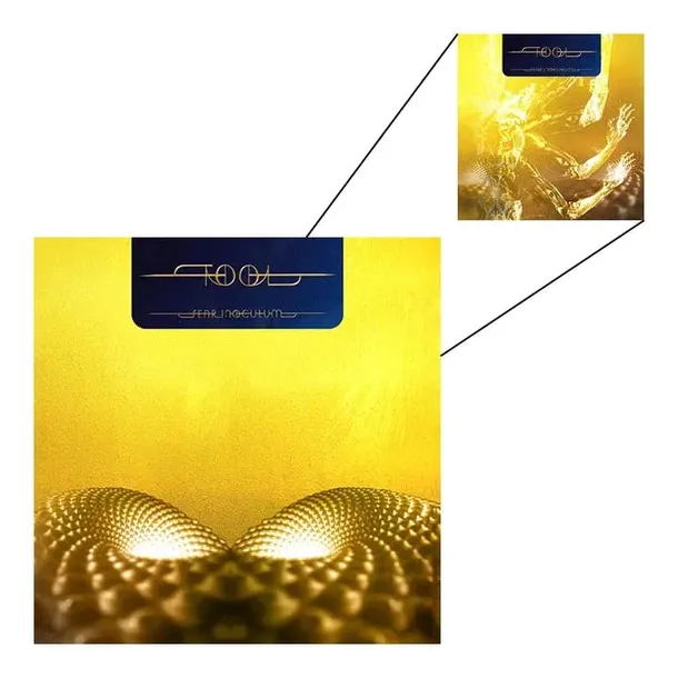 fear-inoculum-vinyl-nosnik-cd