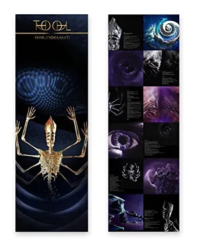 fear-inoculum-vinyl-wysokosc-1-cm