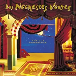 famille-nombreuse-vinyl
