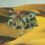 django-django-vinyl