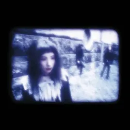 heavenly-persona-vinyl