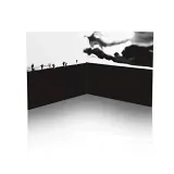 fornika-vinyl-wykonawca-fantastischen-vierdie
