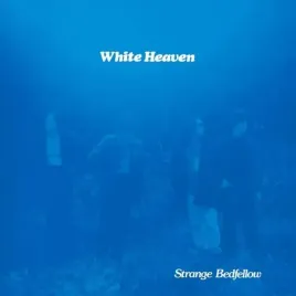 strange-bedfellow-vinyl